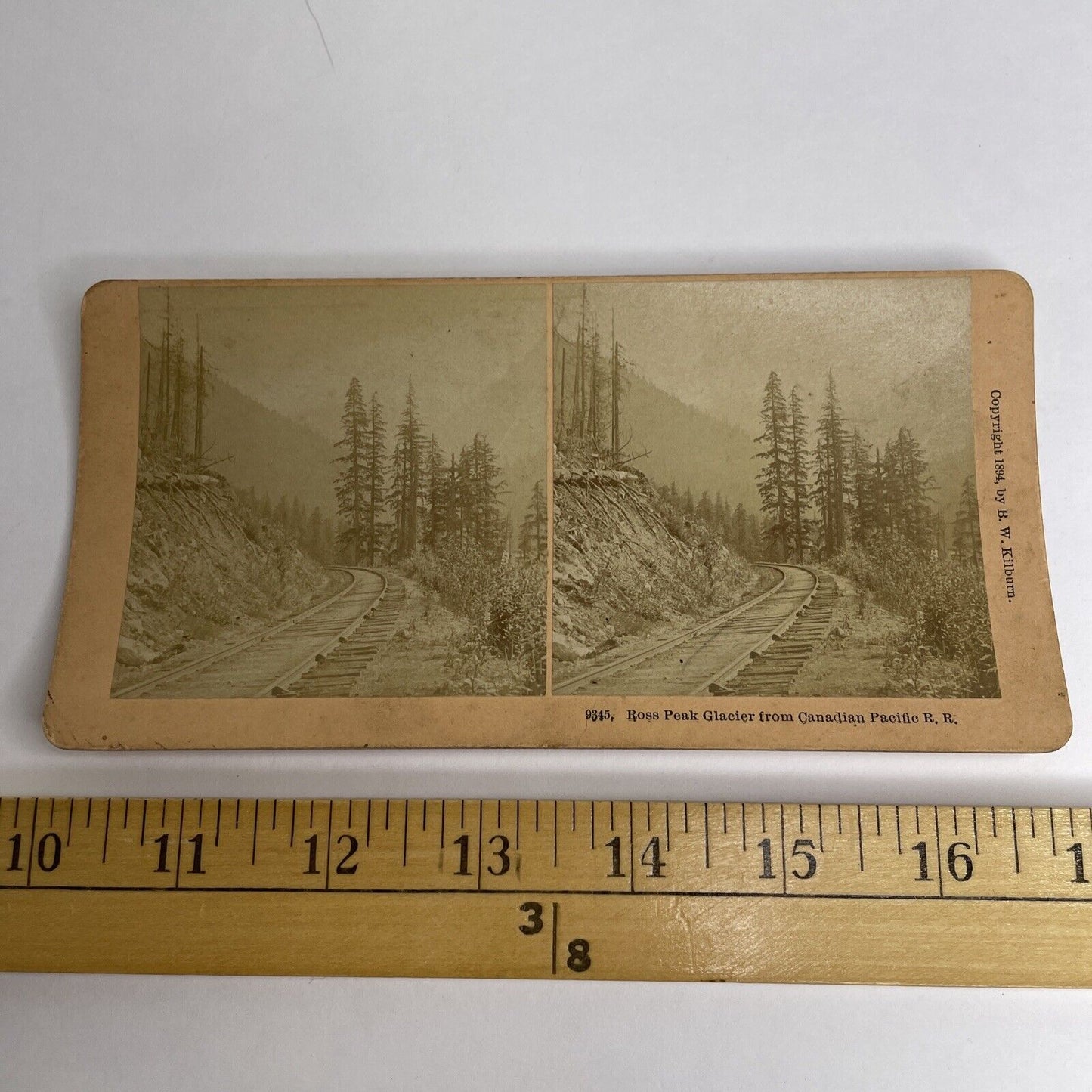 Antique 1894 CP Railroad Tracks Ross Peak BC Canada Stereoview Photo PC624