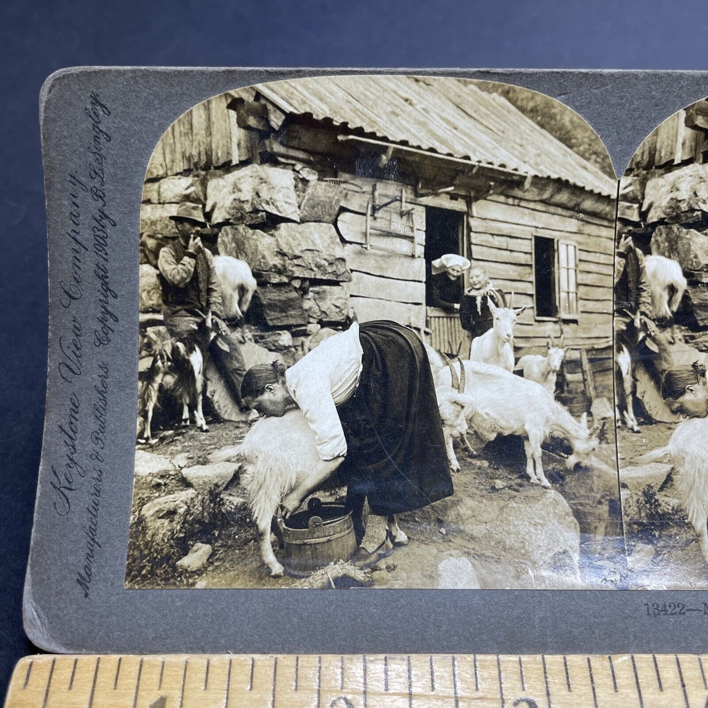 Antique 1903 Teenager Milking Goat Hardanger Norway Stereoview Photo Card P1956