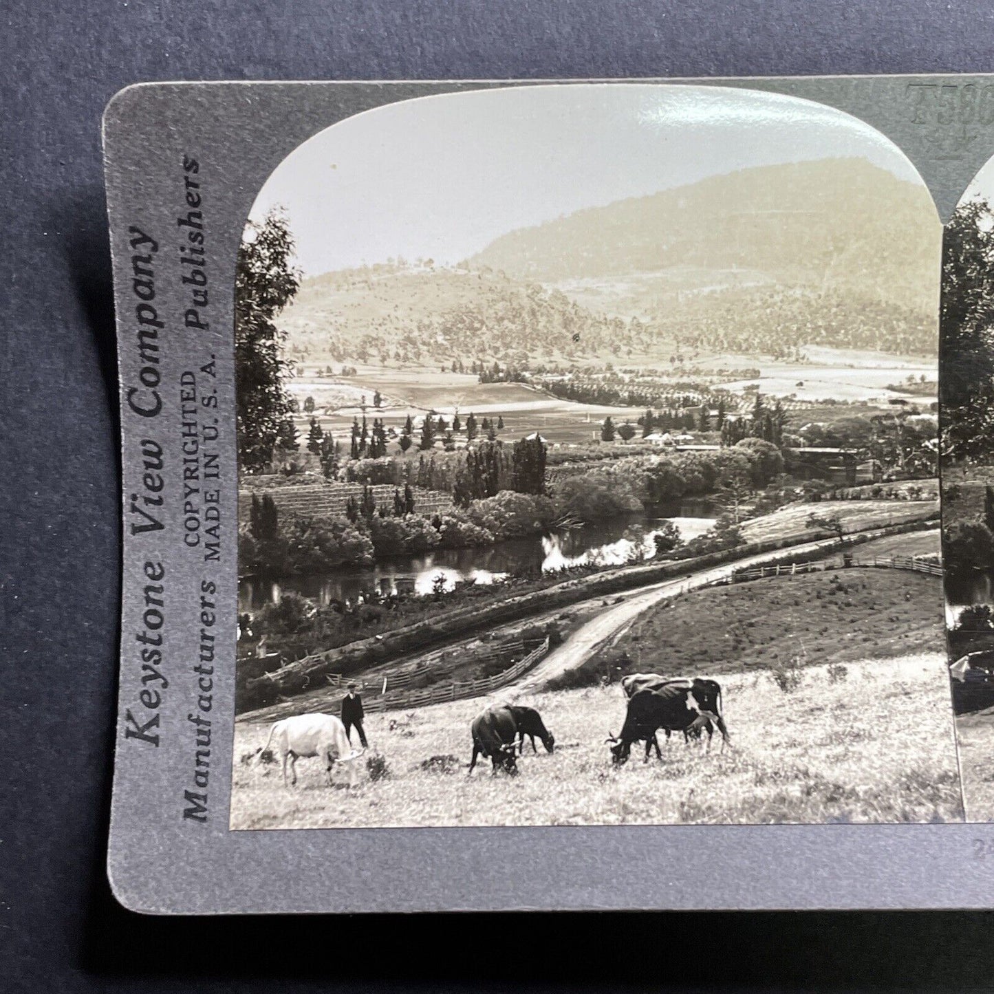 Antique 1918 Farms In Derwent Valley Tasmania Stereoview Photo Card P1771