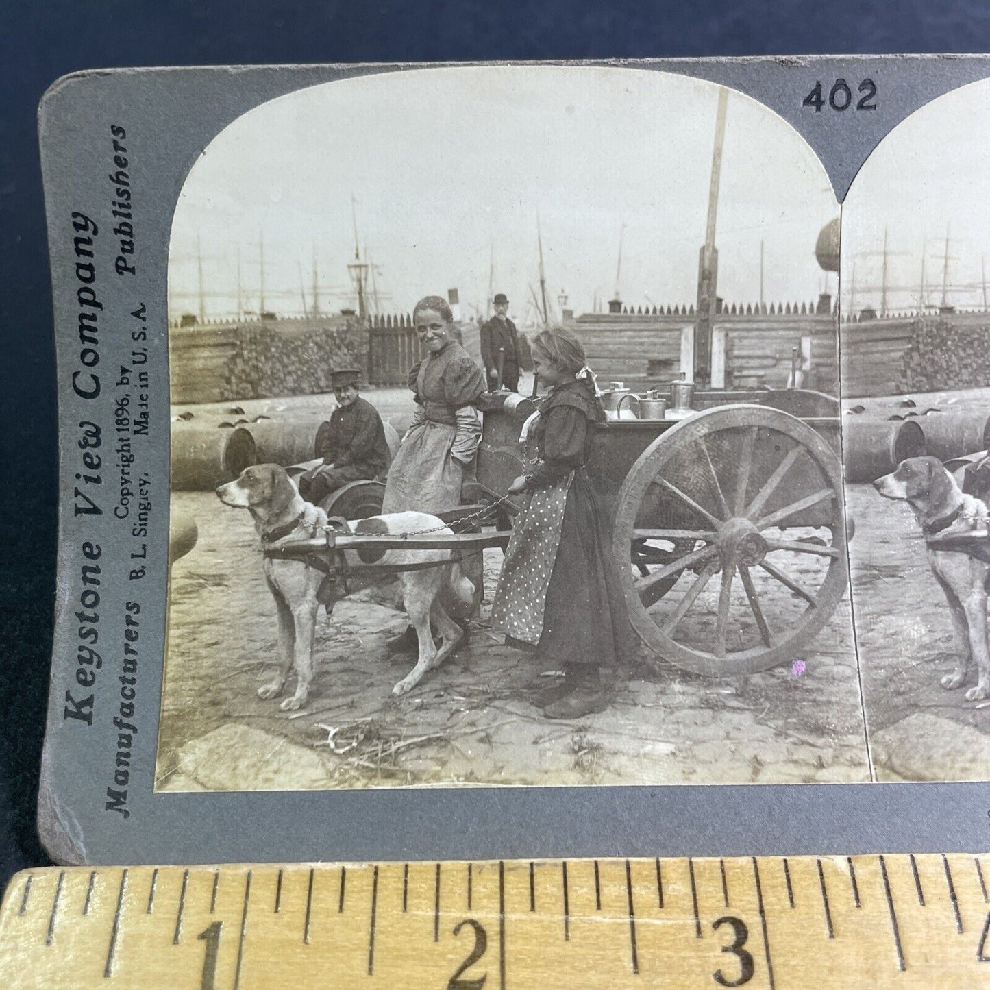 Antique 1896 Dog Delivering Milk Antwerp Belgium Stereoview Photo Card P2118