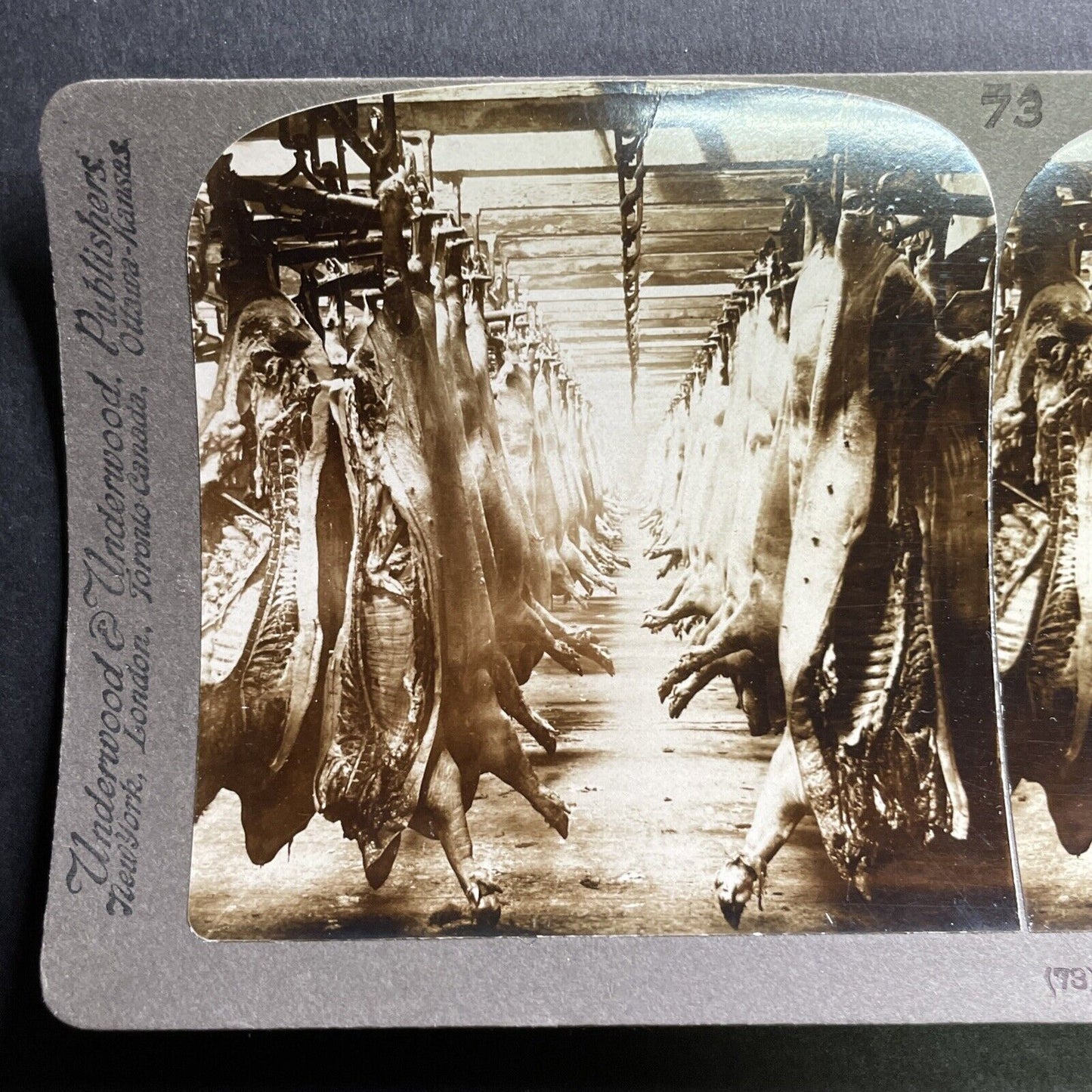 Antique 1906 Armour & Company Meat Packing Plant Stereoview Photo Card P1696