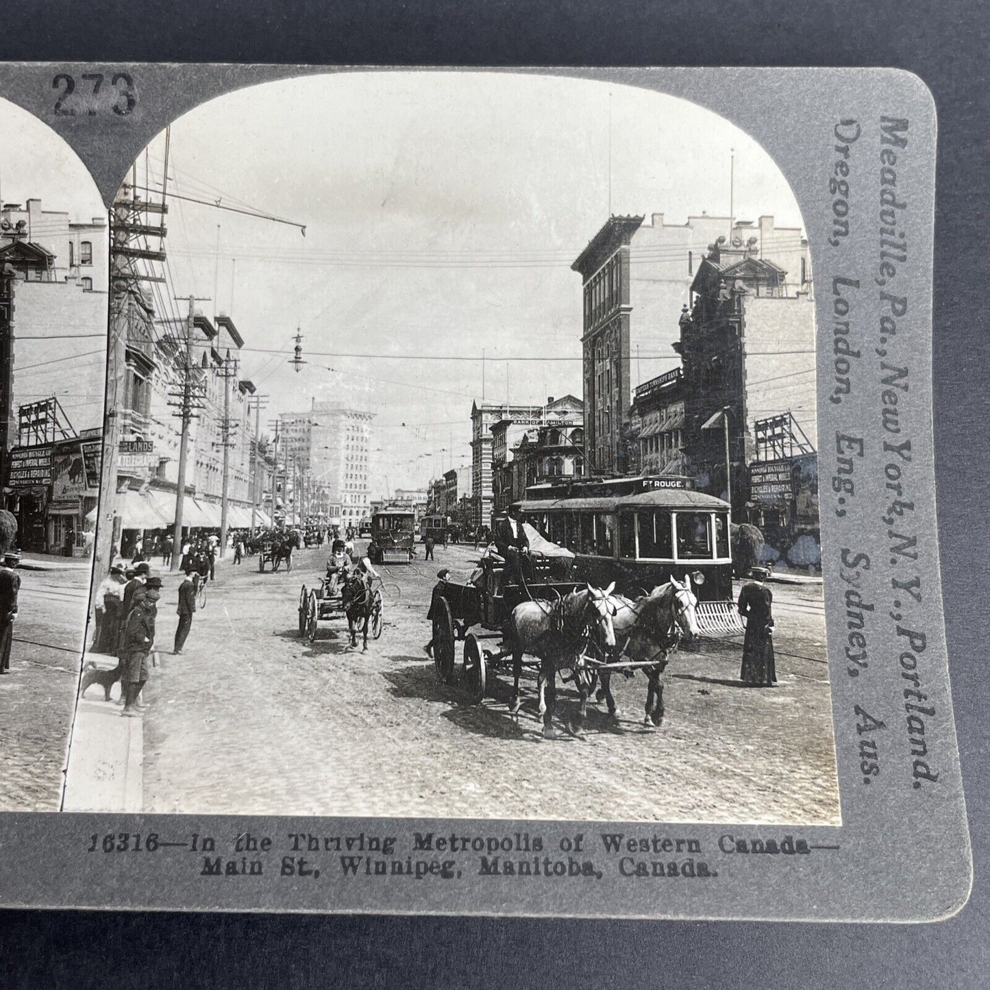 Antique 1905 Winnipeg Manitoba Downtown In Canada Stereoview Photo PC641