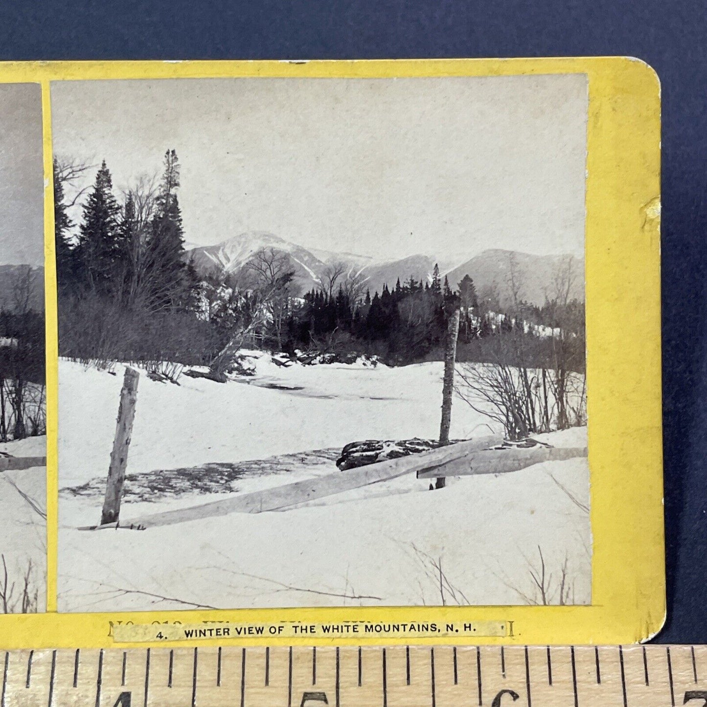 Antique 1874 Great Blizzard Of '74  Near Conway NH Stereoview Photo Card V1765