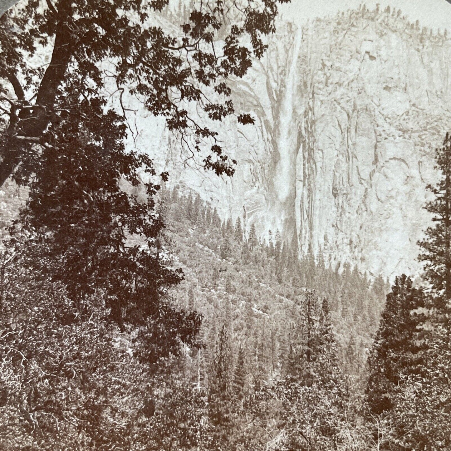 Antique 1902 Ribbon Falls Yosemite California Stereoview Photo Card V2157