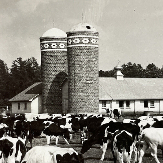 Antique 1930s Beautiful Brick Dairy Farm Silos WI Stereoview Photo Card V2596