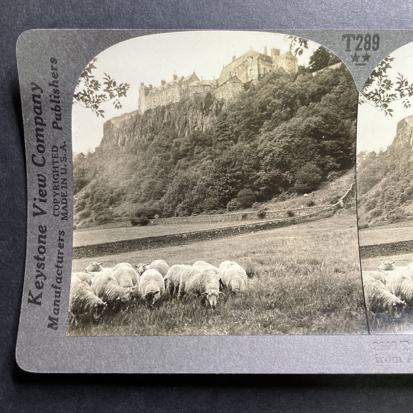 Antique 1918 Sheep Graze At Stirling Castle Scotland Stereoview Photo Card P1364