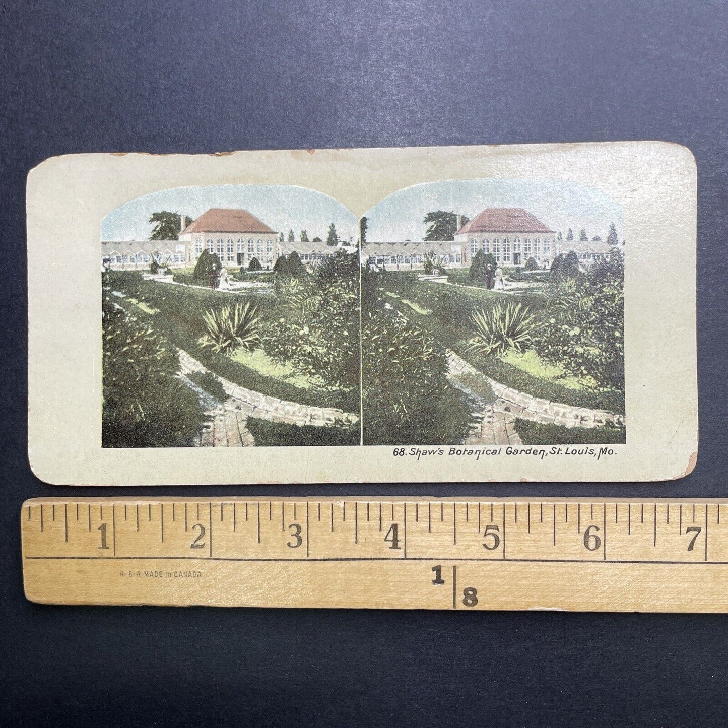 Antique 1904 Botanical Gardens In St. Louis Missouri Stereoview Photo Card P1213