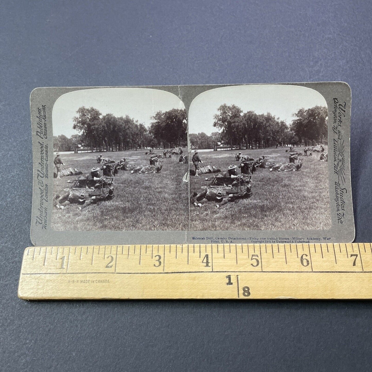 Antique 1901 US Cavalry Trains Horses To Play Dead Stereoview Photo Card V3275