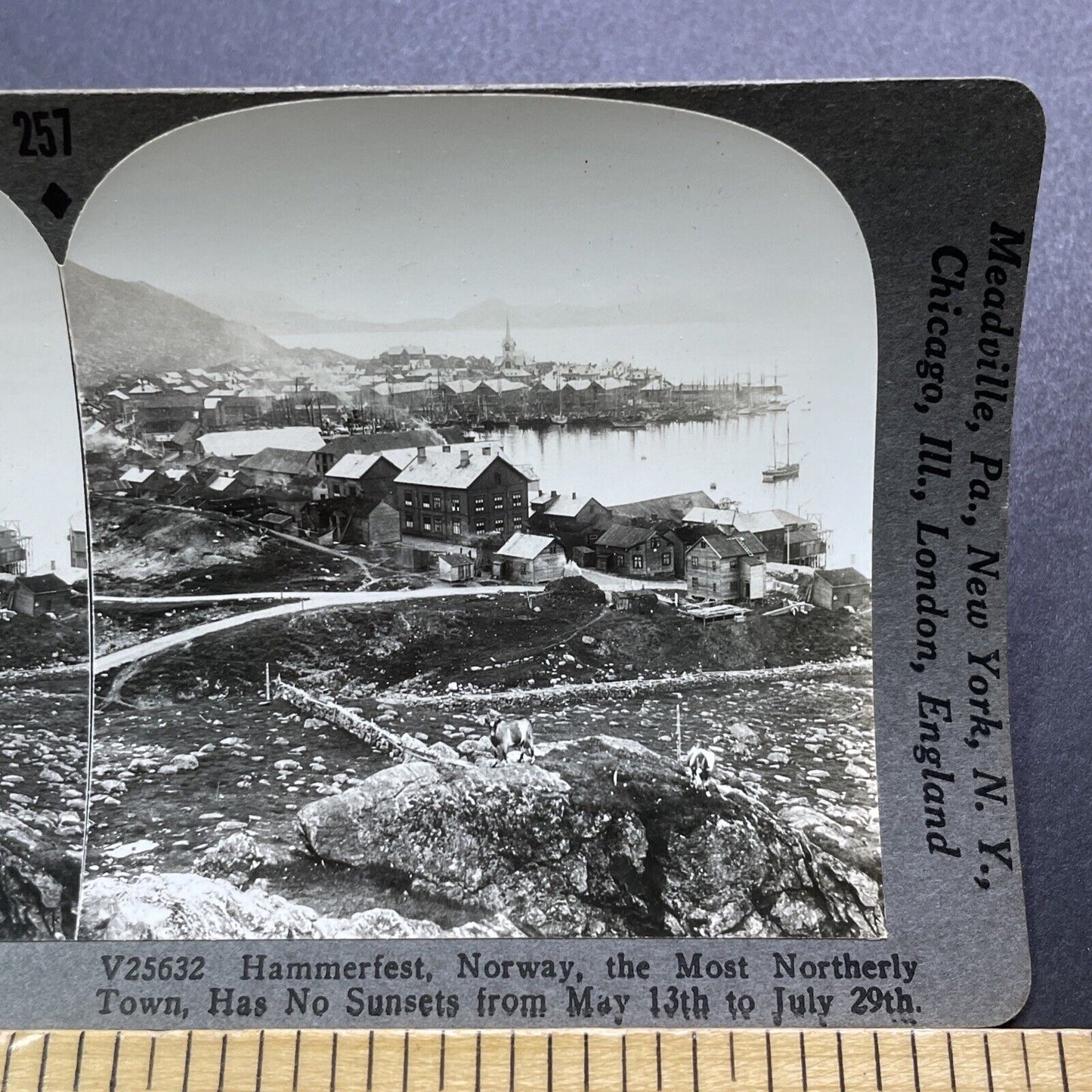 Antique 1920s Hammerfest Norway City And Port View Stereoview Photo Card V2971