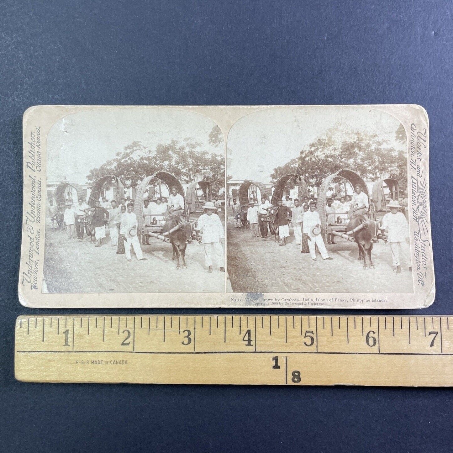 Carabao Drawn Native Wagons Stereoview The Philippines Antique c1900 Y131