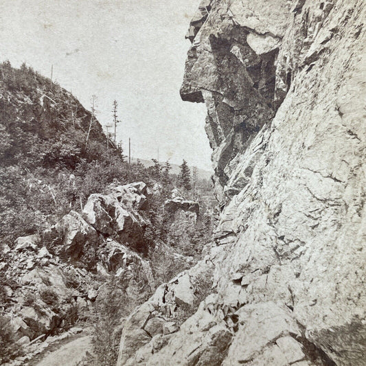 Antique 1870s New Logging Road Crawford Notch NH Stereoview Photo Card V1703