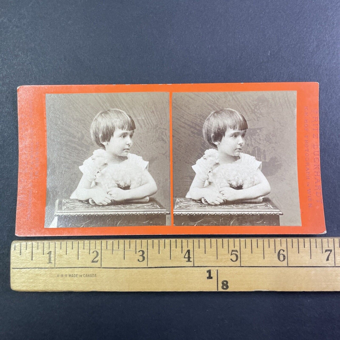 Child with a Bowl Cut Bowlcut Haircut Stereoview Fritz Luckhardt c1870s Y1322