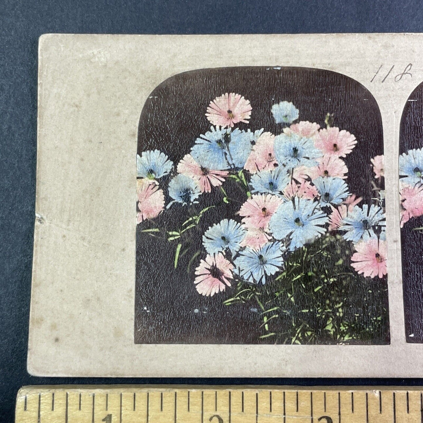 Hand-Colored Flowers Stereoview attributed to James Robinson Antique c1859 Y1383