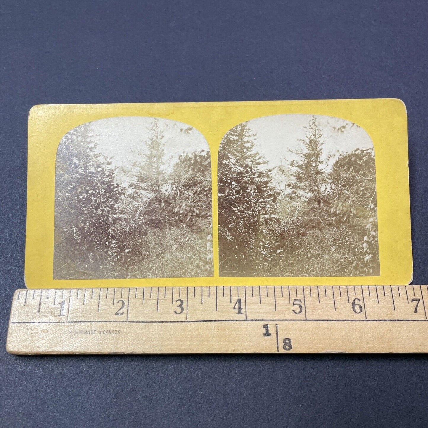 Antique 1870s Mount Monadnock Near Diana's Peak Stereoview Photo Card V2108