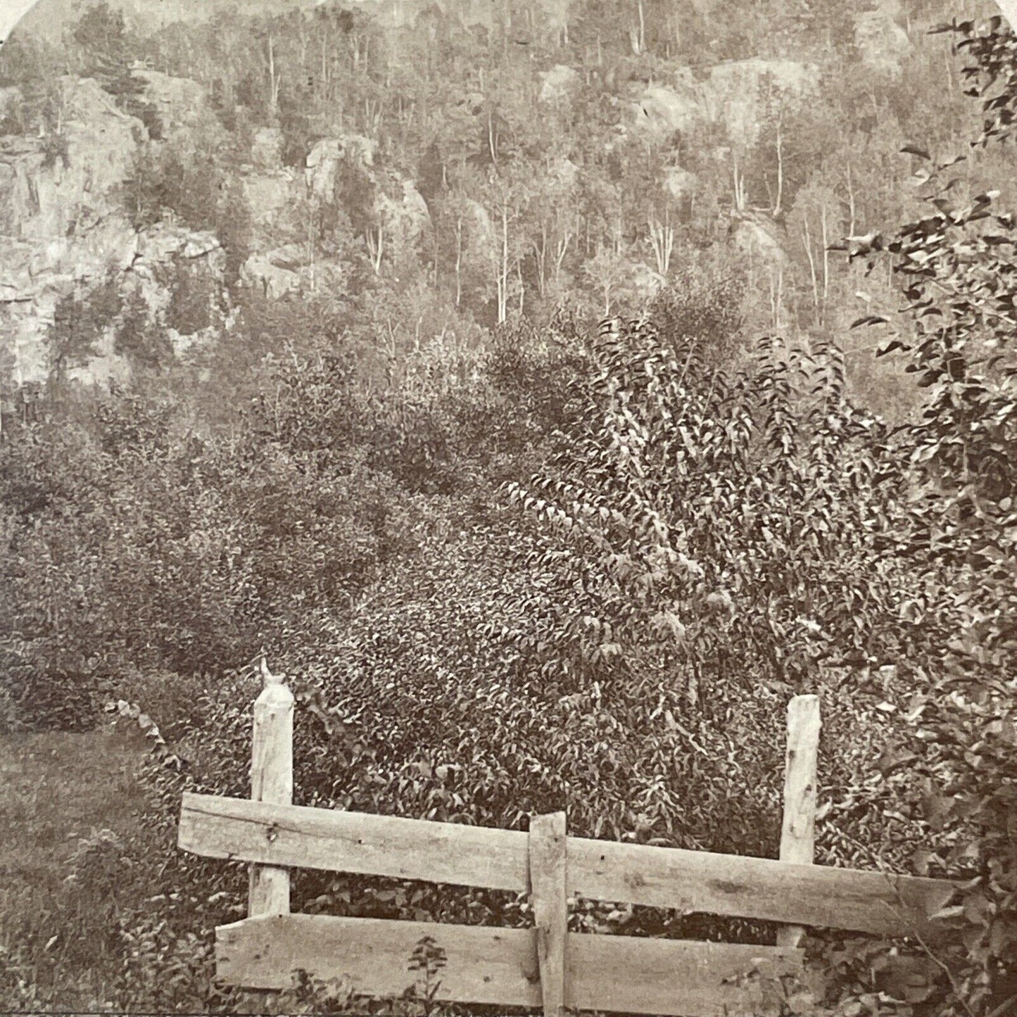 Indian Pass Lake Placid New York Stereoview Photo Card Antique c1875 X902