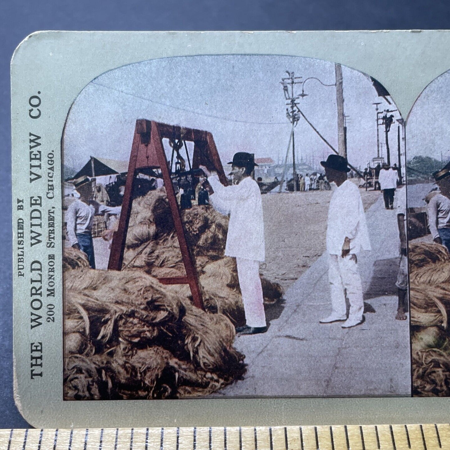 Antique 1880s Marijuana Hemp Trade Manila Philippines Stereoview Photo Card 2288