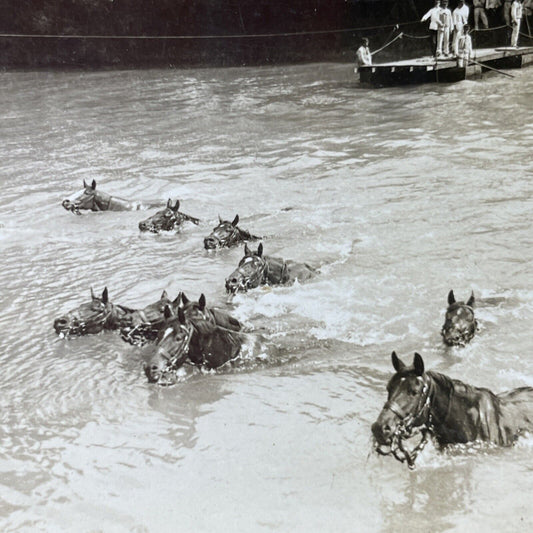 Antique 1916 French Cavalry Escapes Across River Stereoview Photo Card P2782