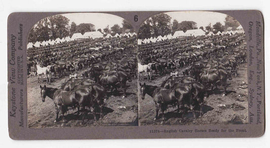 Antique 1918 English Cavalry Horses Ready For WW1 Battlefront Stereo Card P160