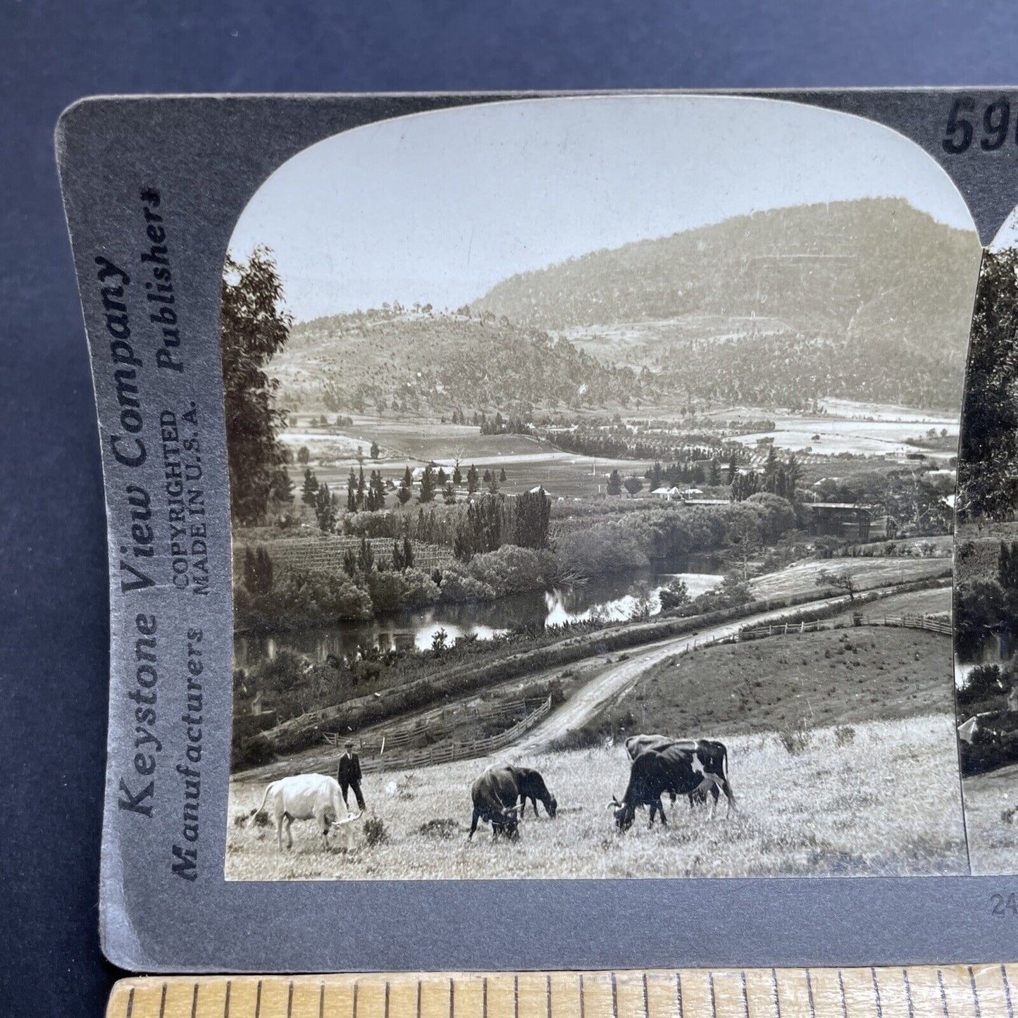 Antique 1920s Derwent Valley Tasmania Stereoview Photo Card P2038