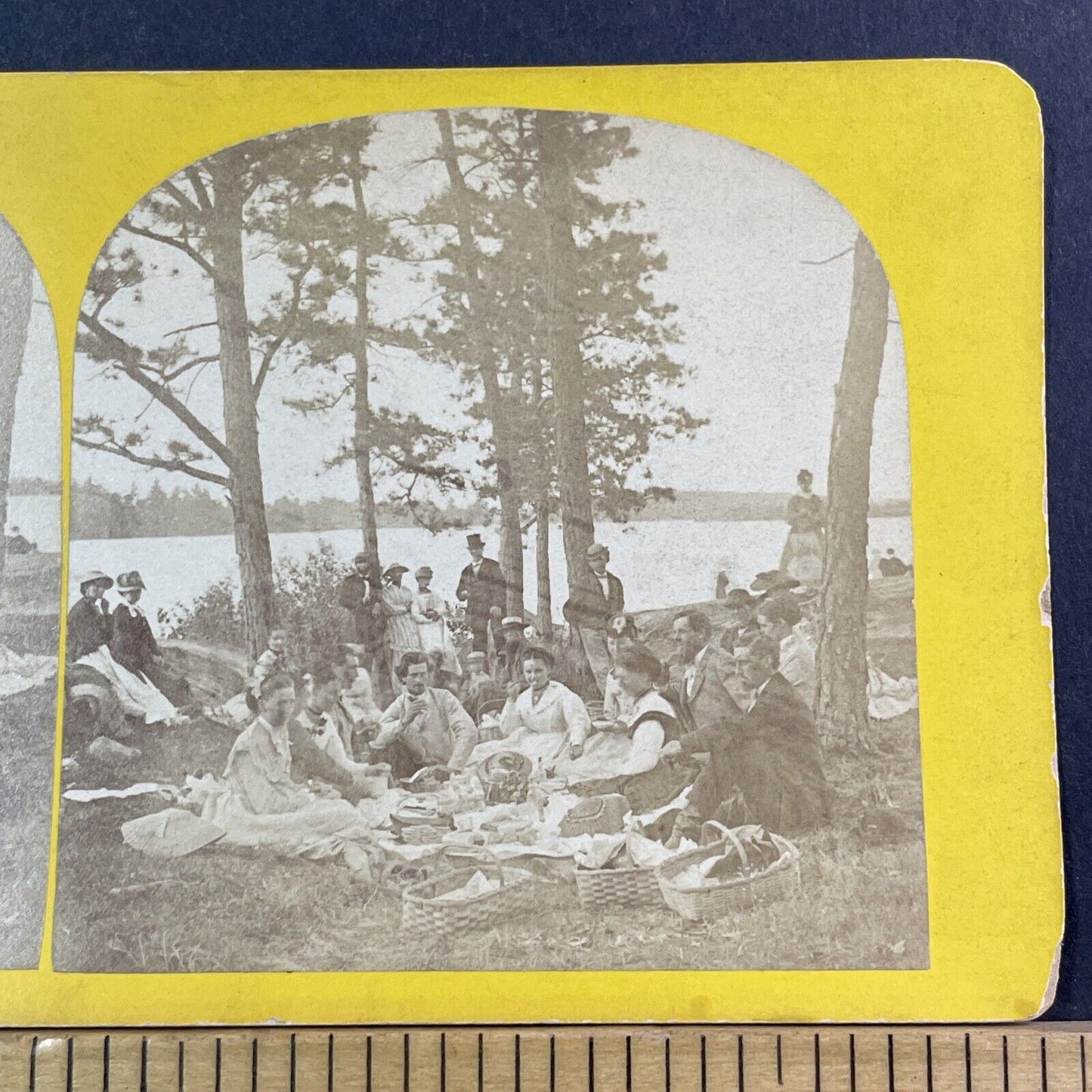 St. Lawrence Park Fernbank Ontario Stereoview Brockville Antique c1870 X1320