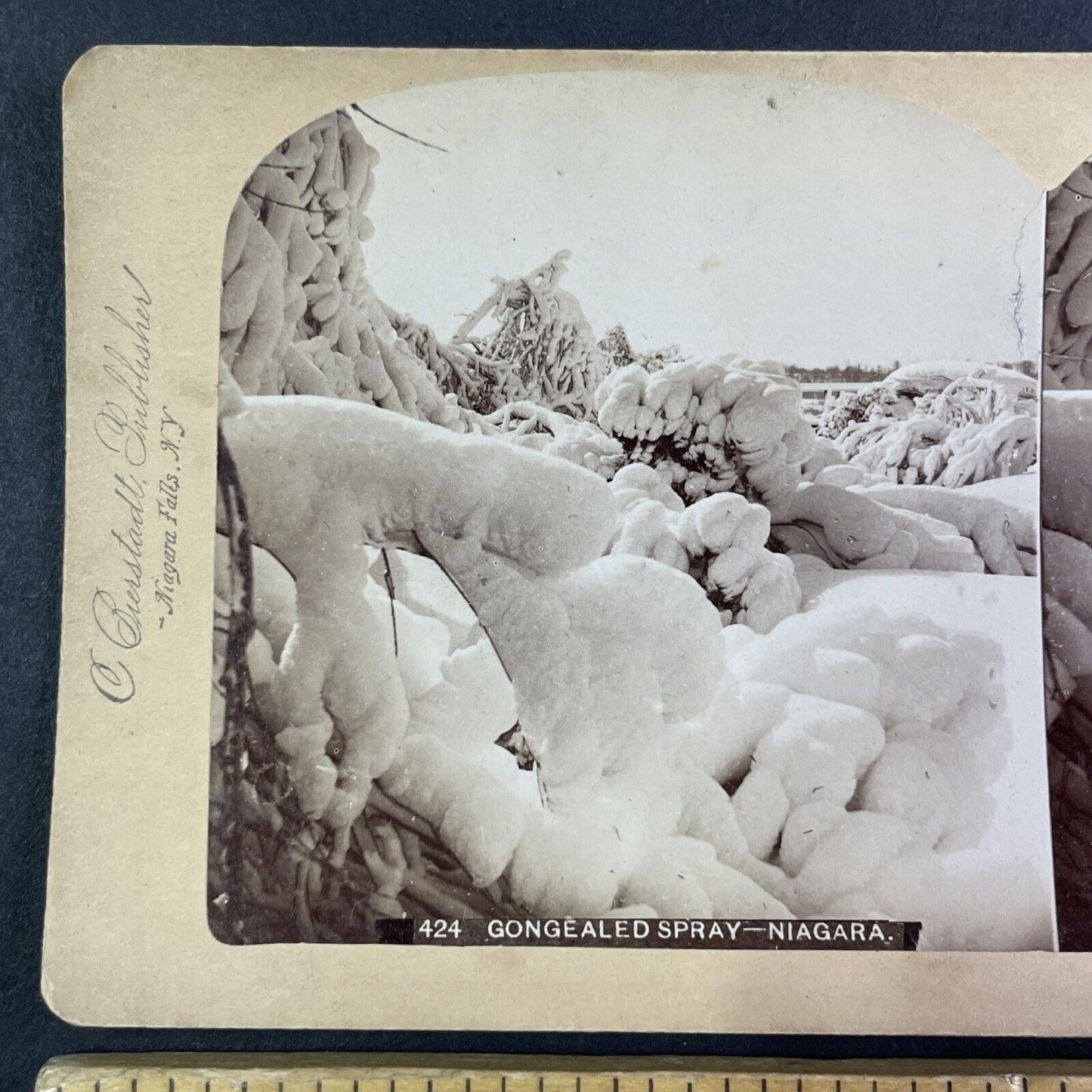 Frozen Island Forest Niagara Falls Stereoview Charles Bierstadt c1880 Y2478