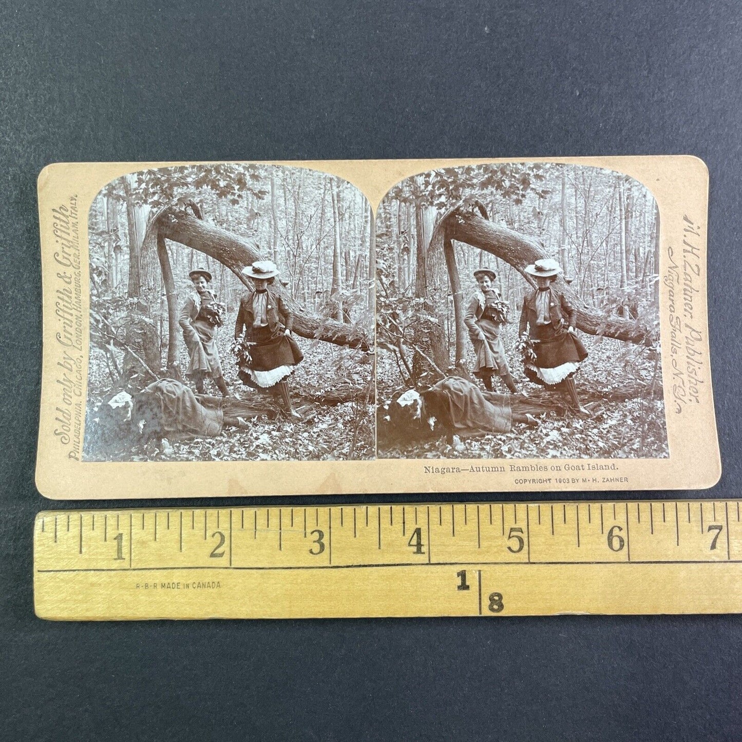 Women Having Fun on Goat Island NY Stereoview M.H. Zahner Antique c1903 Y2487