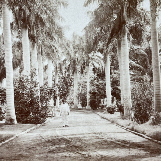 Antique 1896 Hospital Entrance Honolulu Hawaii Stereoview Photo Card V2121