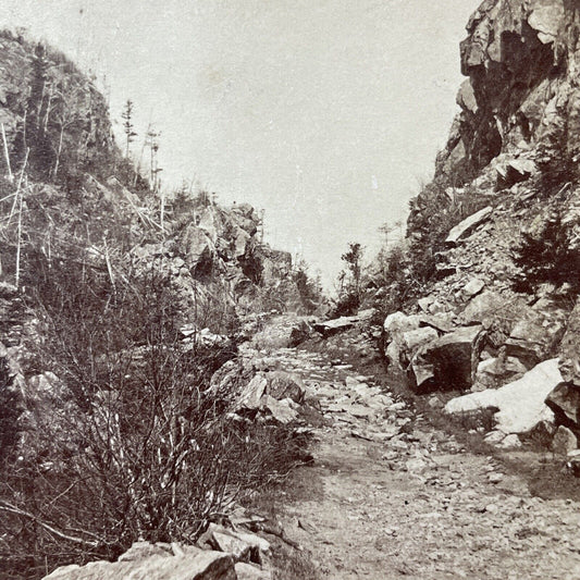 Antique 1870s Crawford Notch Horse & Buggy Road NH Stereoview Photo Card V1995