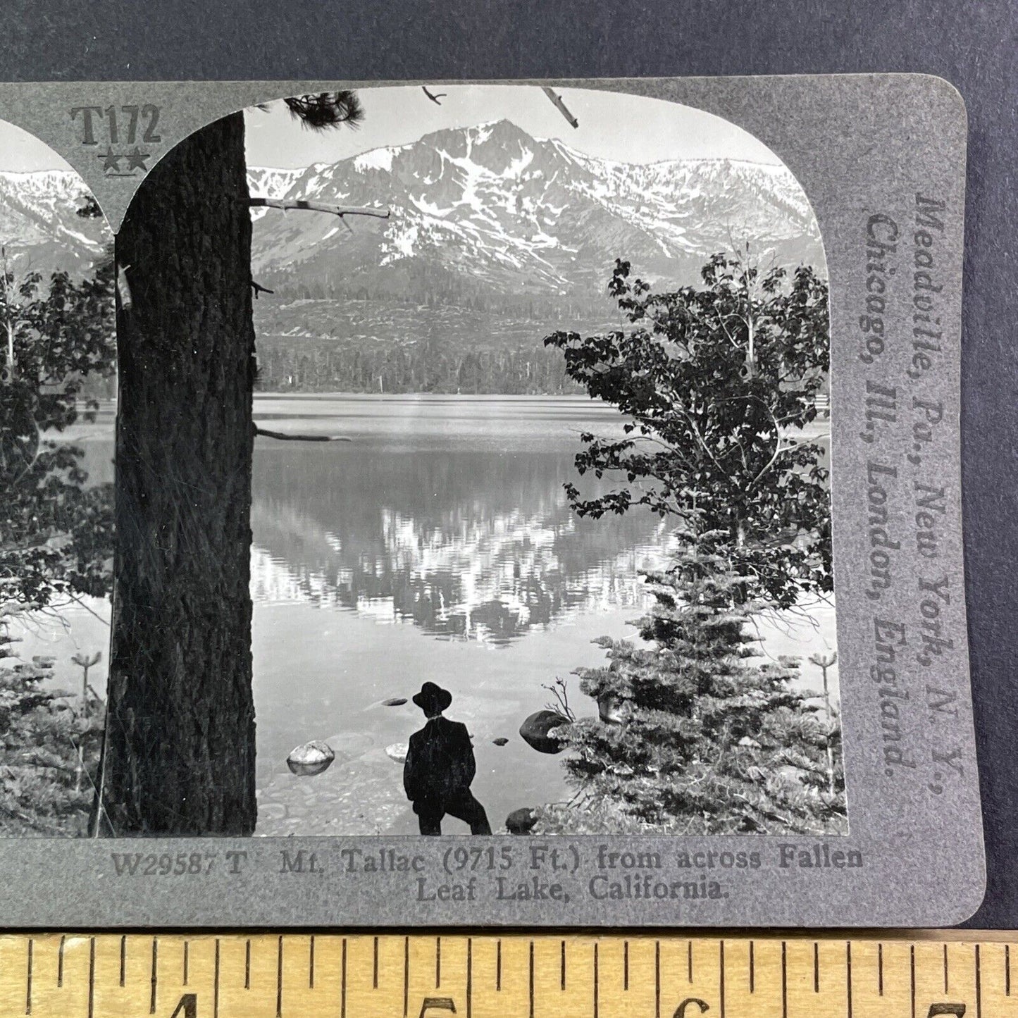 Fallen Leaf Lake California Stereoview El Dorado County Antique c1905 X1863
