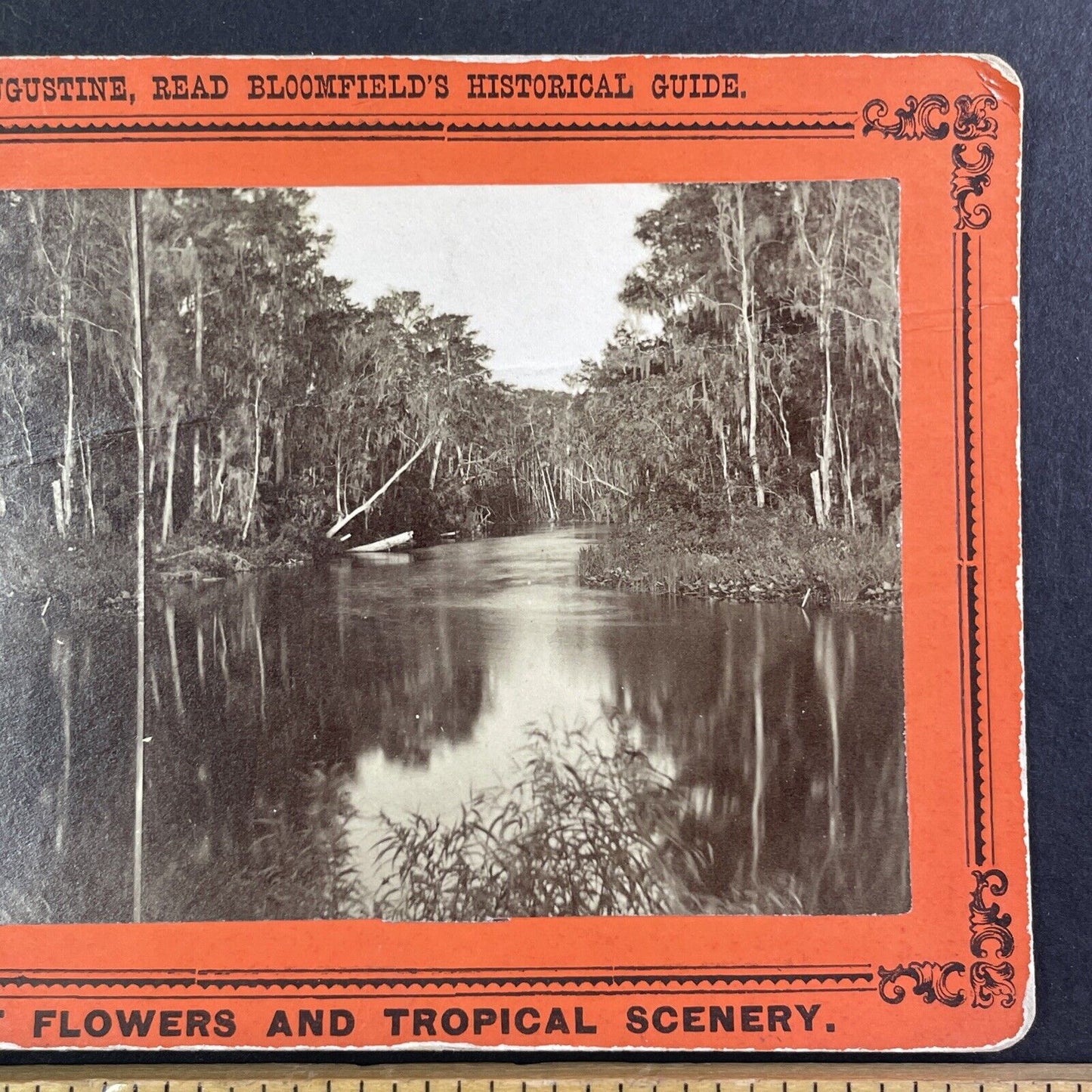 Devils Elbow St. Johns River Stereoview East Palatka Florida Antique c1870 Y1740