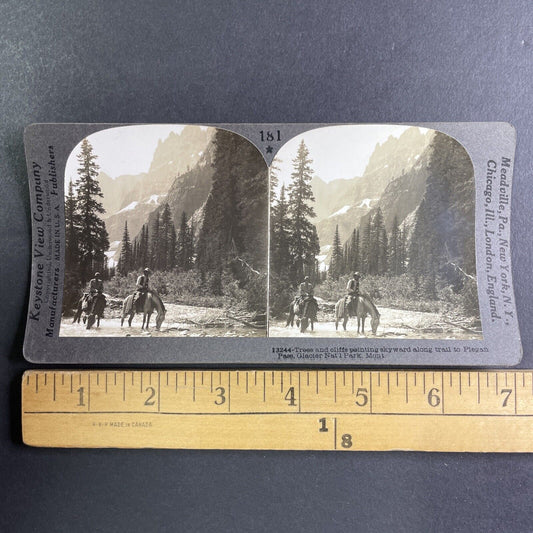 Cowboys on Horses Glacier National Park Stereoview Montana Antique c1906 Y1173