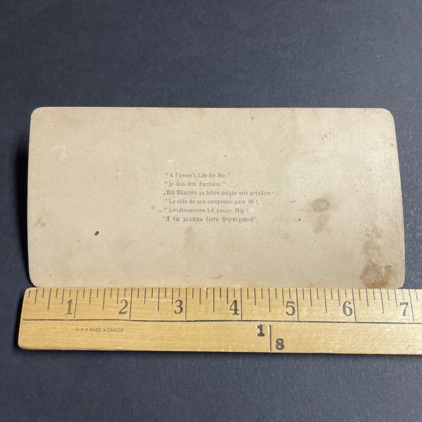 Antique 1894 A Woman Milks Her Cow In Front Yard Stereoview Photo Card P4757