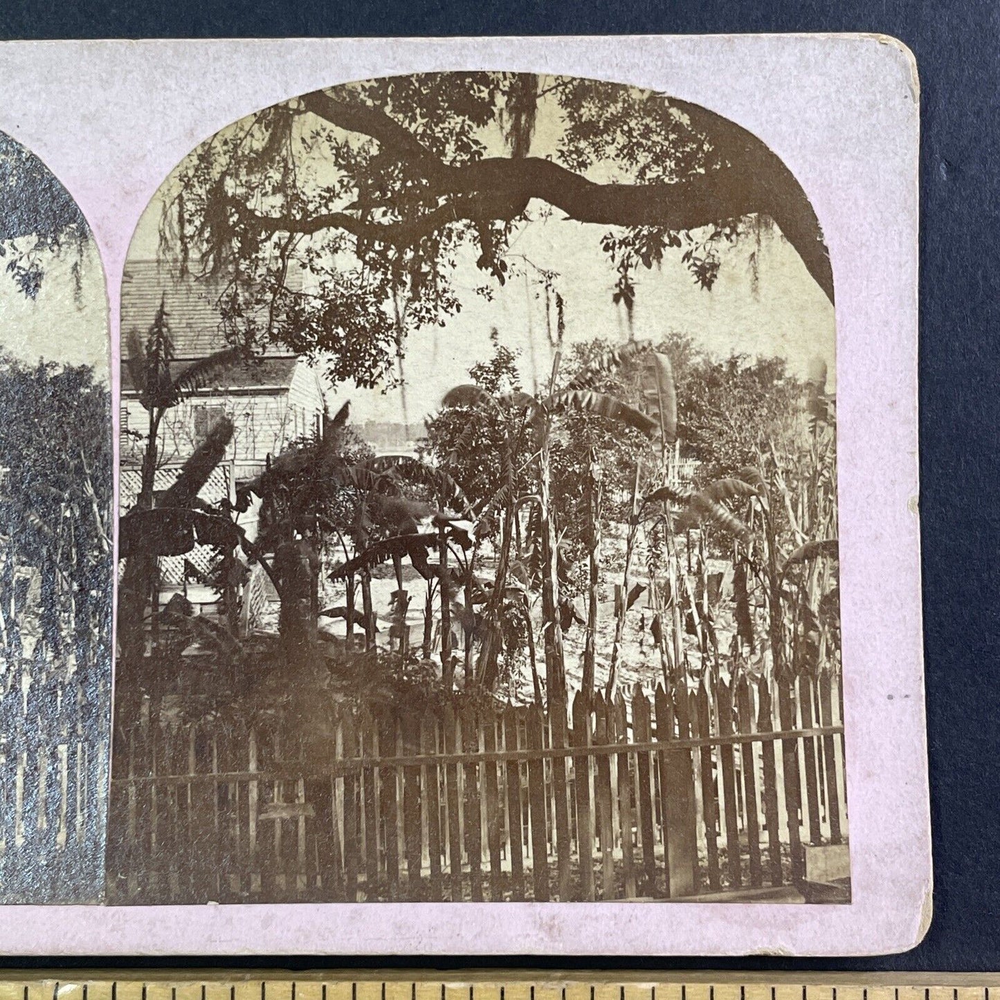 Florida Creole House Stereoview Jacksonville Area? Antique c1870 Y070