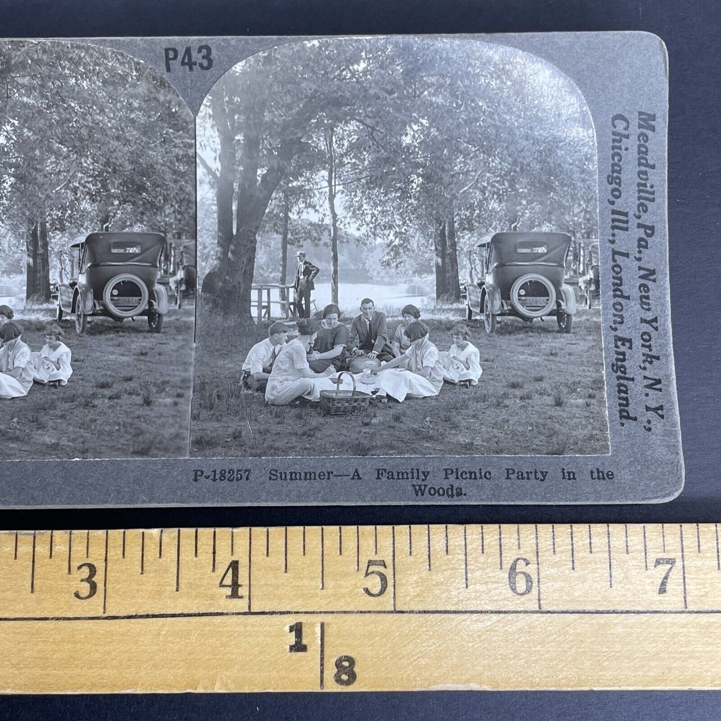 Antique 1920 American Family Picnic West Coast Stereoview Photo Card PC839