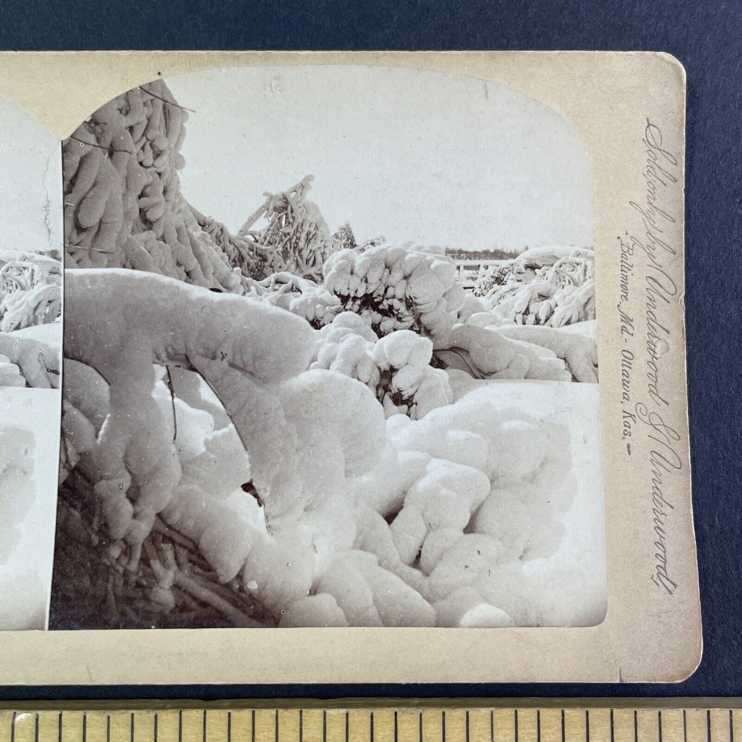 Frozen Island Forest Niagara Falls Stereoview Charles Bierstadt c1880 Y2478