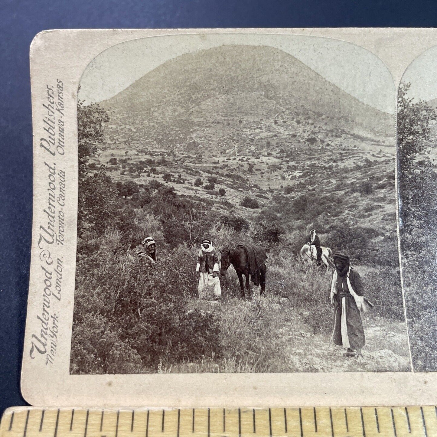 Antique 1890s Horseback Desert Nomads In Syria Stereoview Photo Card P3879