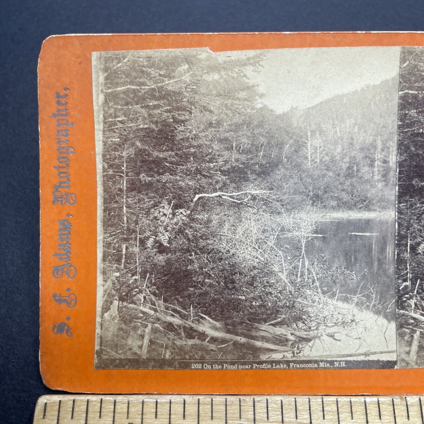 Antique 1860s Profile Lake Franconia New Hampshire Stereoview Photo Card V1705