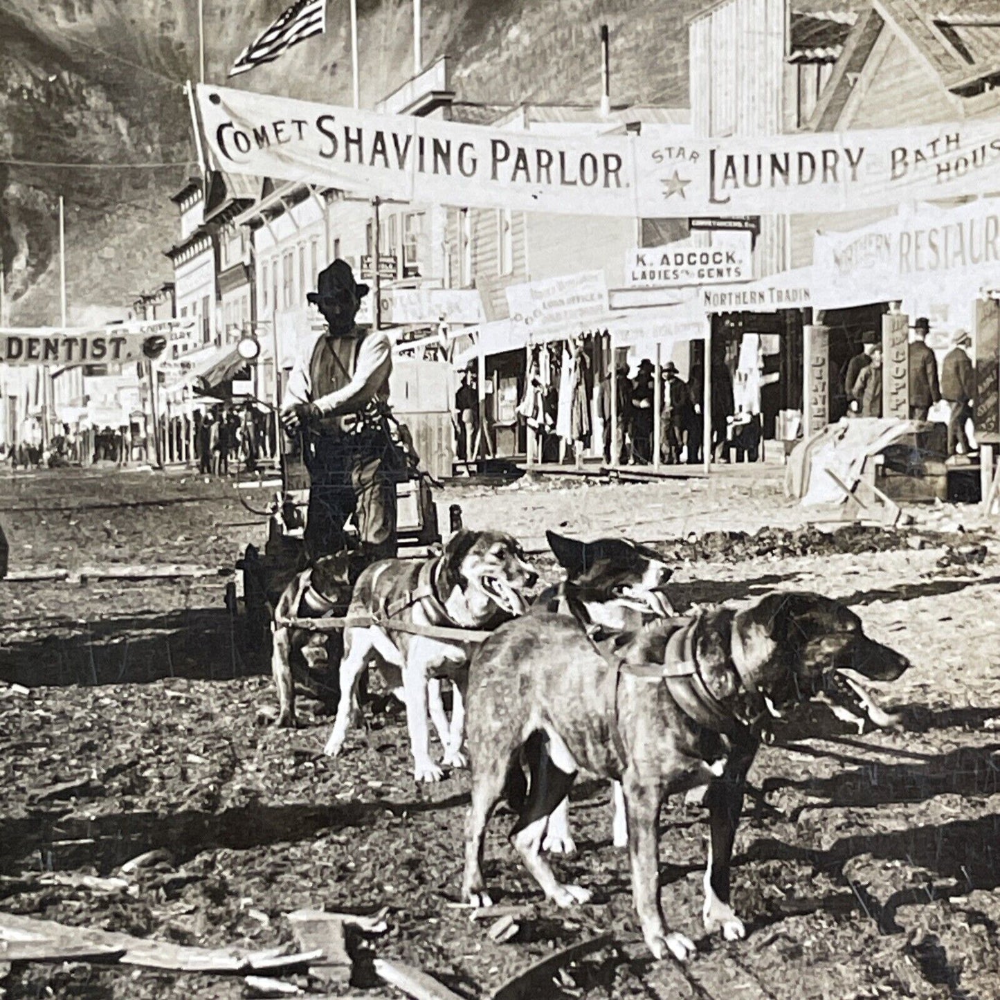 Dog Sled Team Dawson City Yukon Stereoview Gold Rush Town Antique c1900 X1845