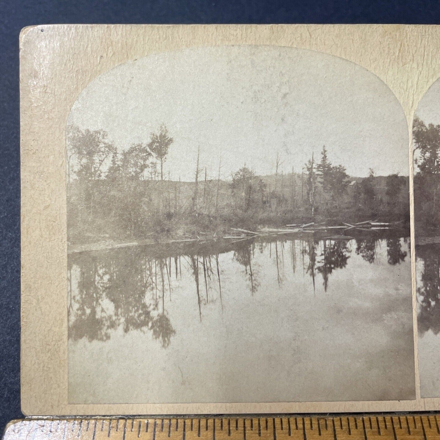 Antique 1903 Lake Placid The Great Forest Fire Of 03 Stereoview Photo Card Q2223