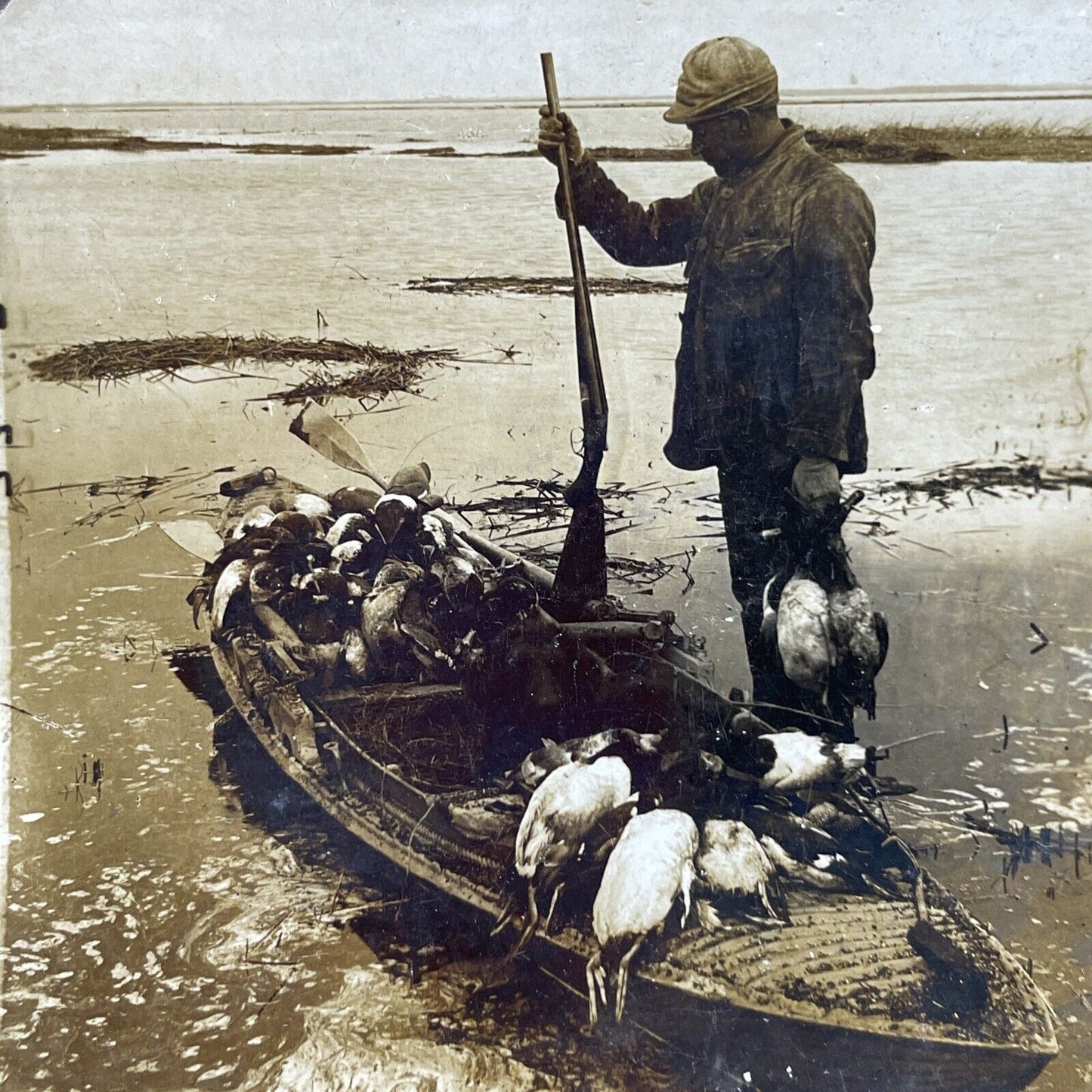 Antique 1902 Duck Hunter With Canoe Full Of Ducks Stereoview Photo Card P2653