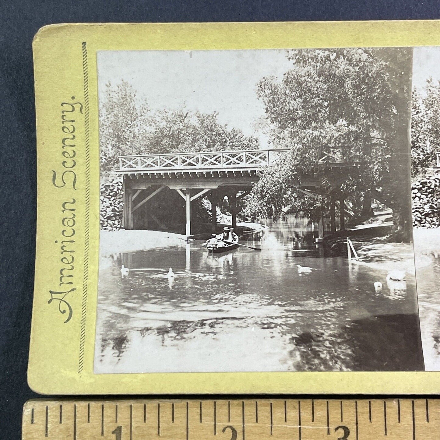 Humboldt Park Chicago Illinois Stereoview Rowing Photo Card Antique c1875 X1311