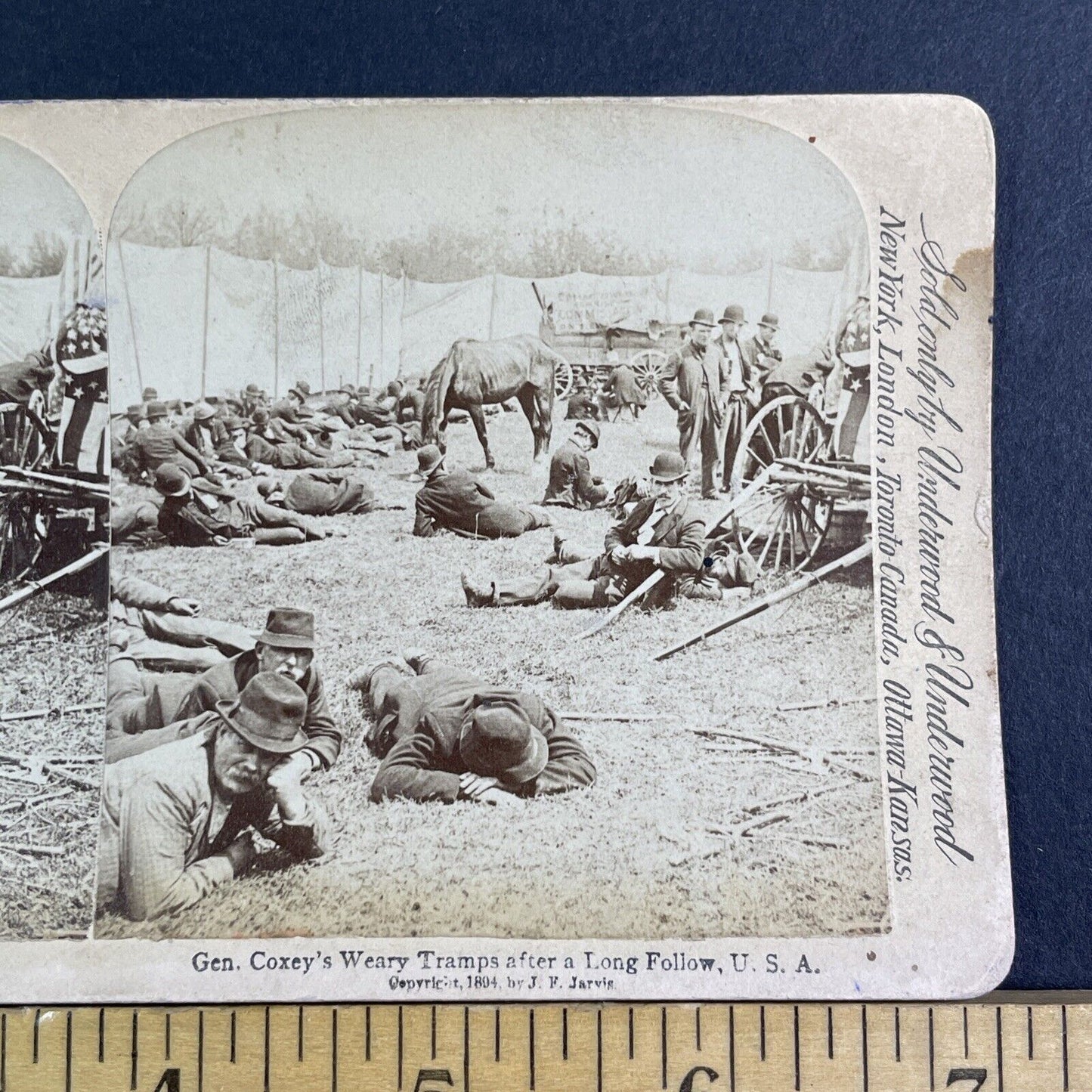 Jacob Coxey's Army Exhausted Protestors Stereoview Antique c1894 X3865