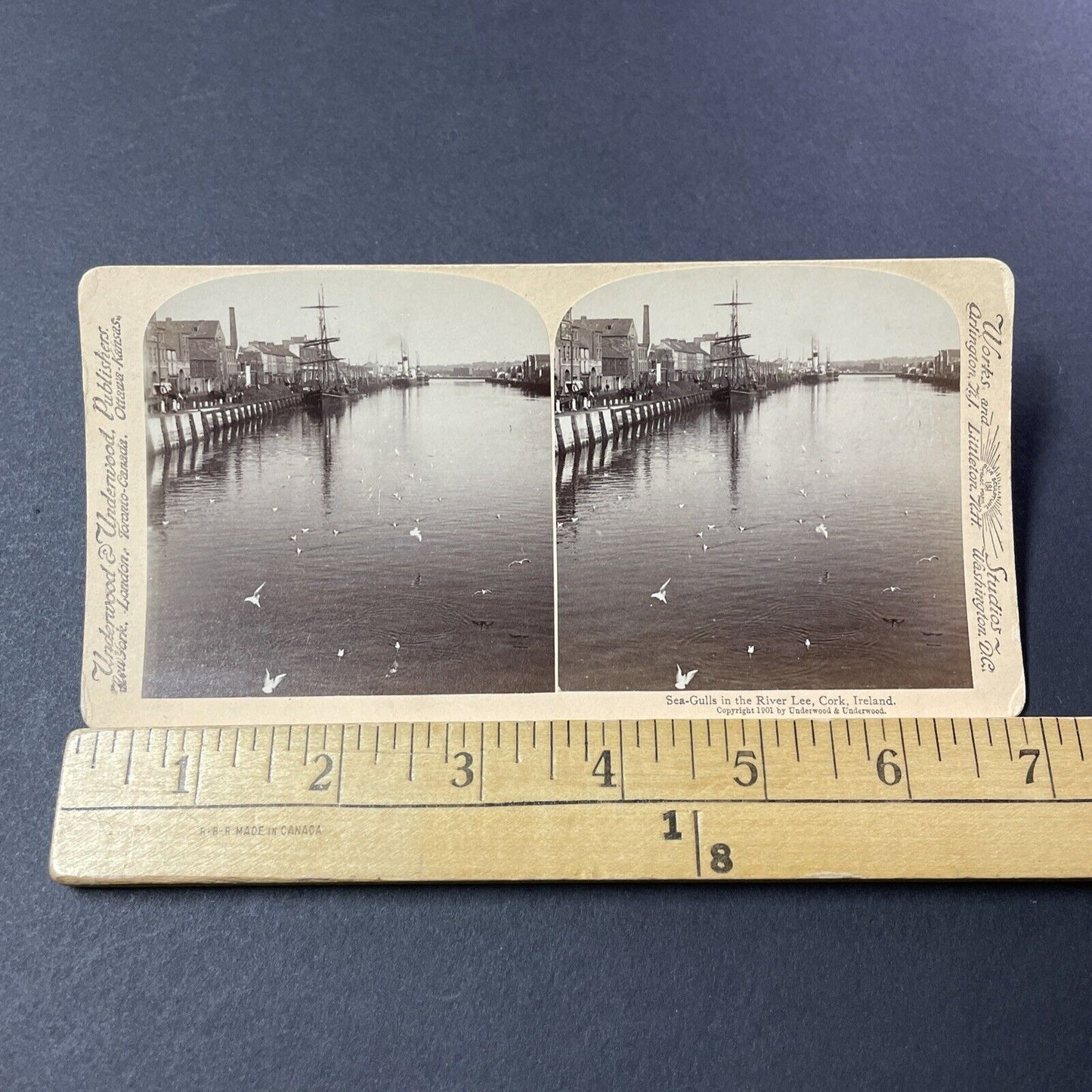 Antique 1901 City Of Cork Ireland Port View Stereoview Photo Card V3205