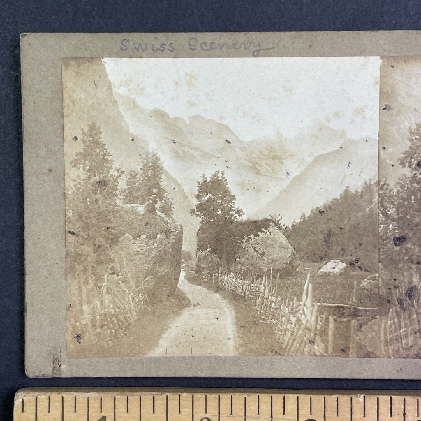 Village Road in Lauterbrunnen Switzerland Stereoview Antique c1855 Y1119