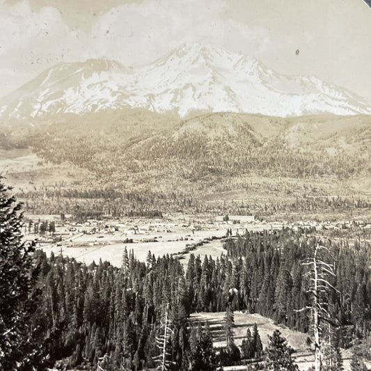 Antique 1909 Mount Shasta Volcano California Stereoview Photo Card P3504