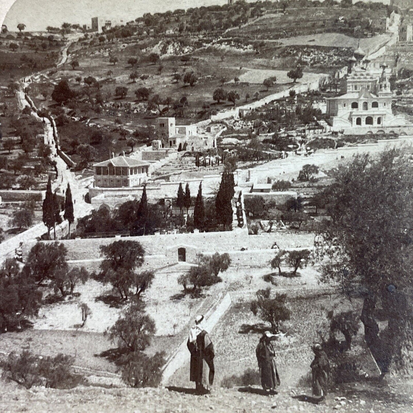 Antique 1899 Ancient Gardens Of Jerusalem Israel Stereoview Photo Card P3896