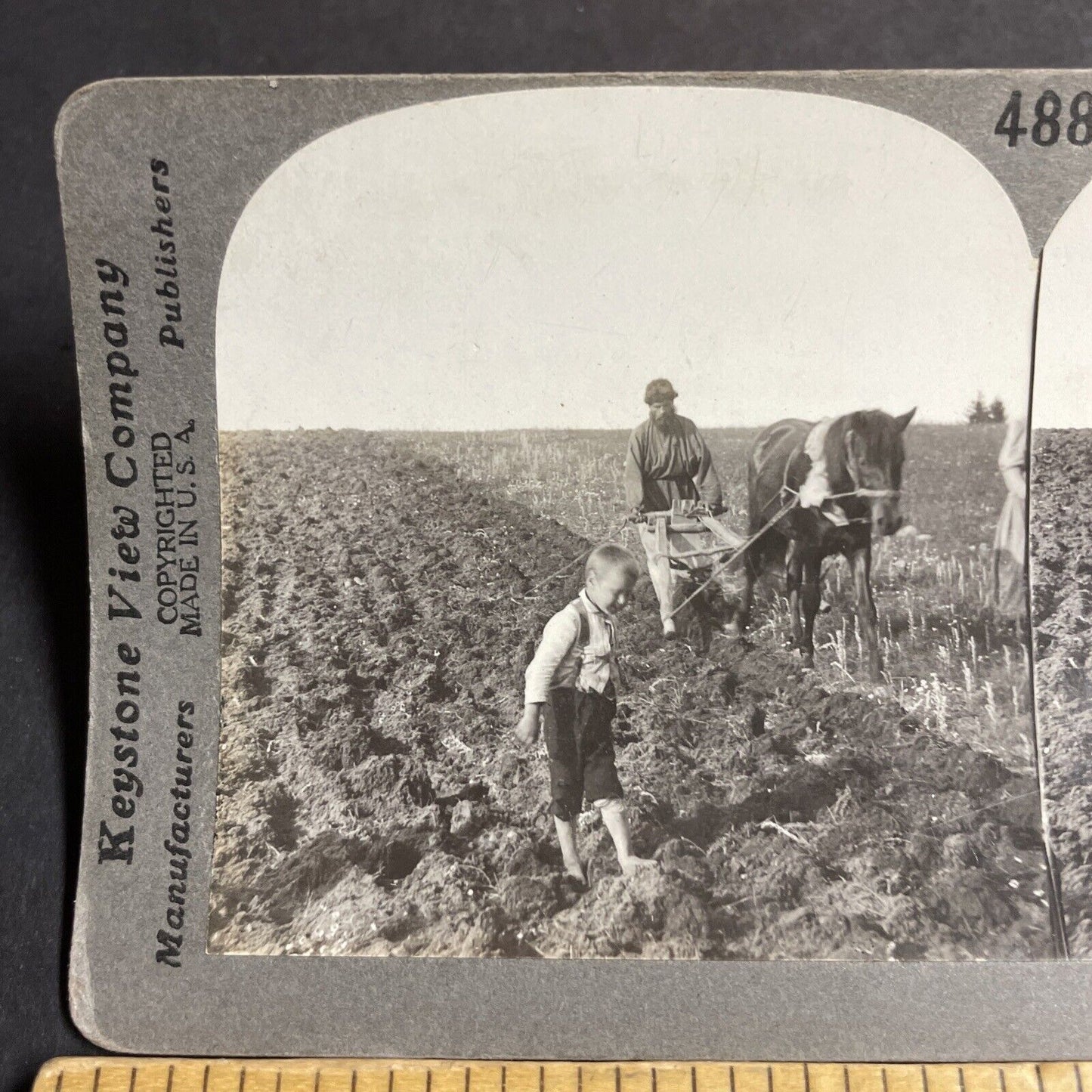 Antique 1910s Man & Boy Plowing Fields In Ukraine Stereoview Photo Card P4243