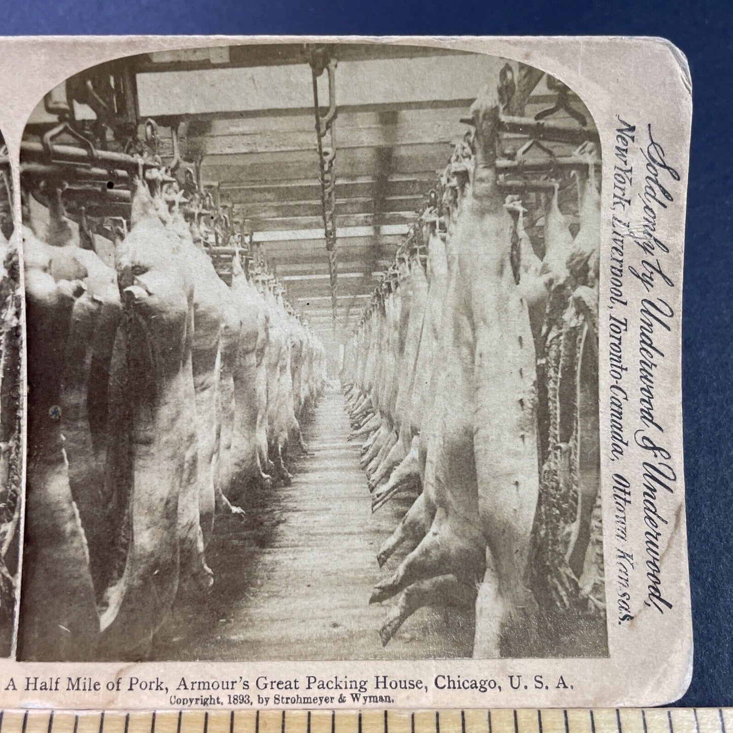 Antique 1893 Armour Meats Chicago Illinois Stereoview Photo Card P3870