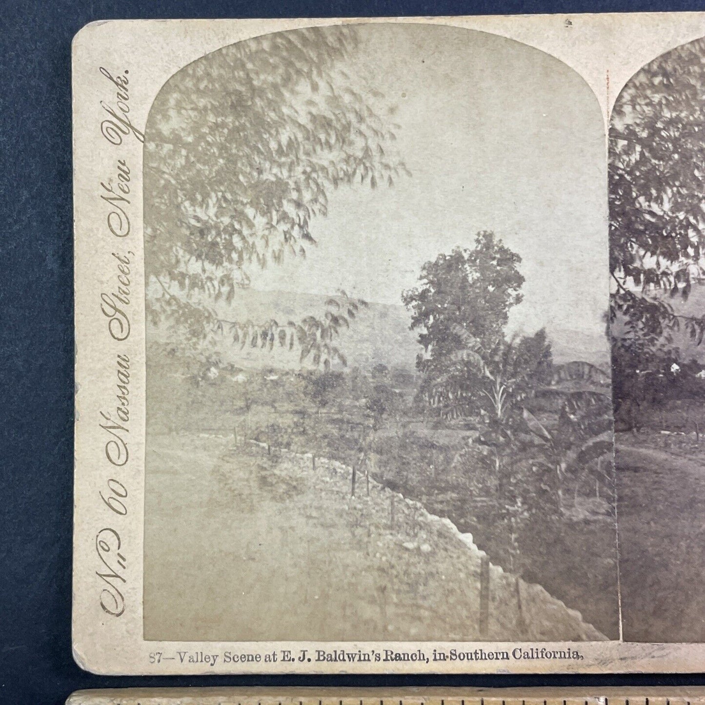 Lucky Baldwin Rancho Santa Anita Stereoview Los Angeles Antique c1876 X3732