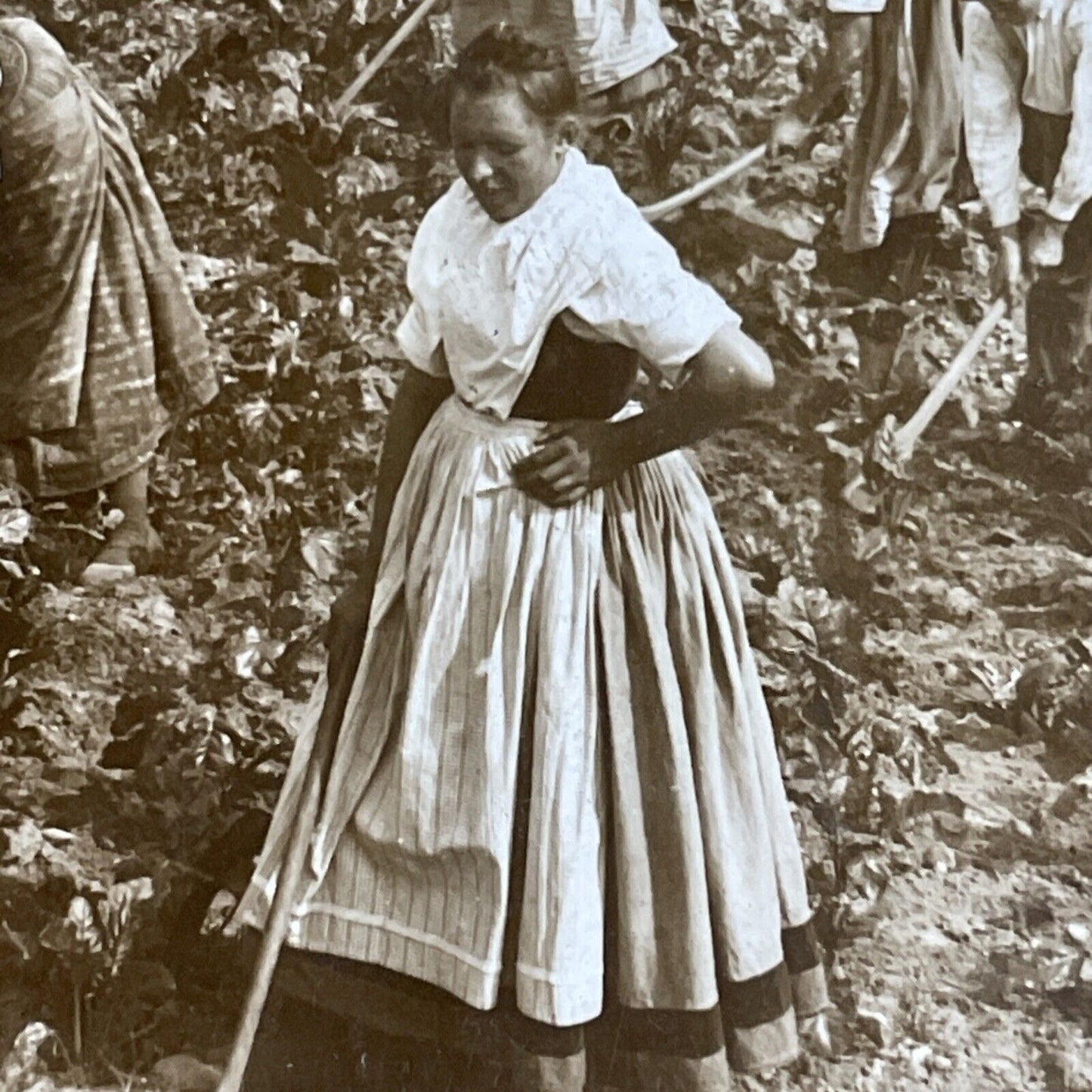 Antique 1900 Traditional Saxony Women Farmers Stereoview Photo Card P4472